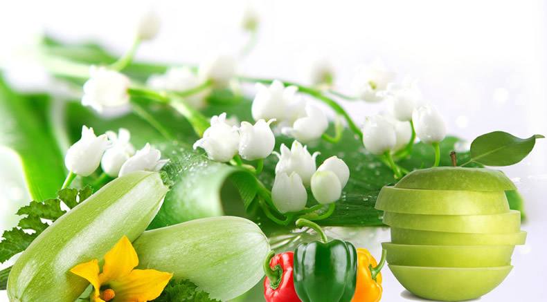 食品安全檢測儀 食品安全檢測儀