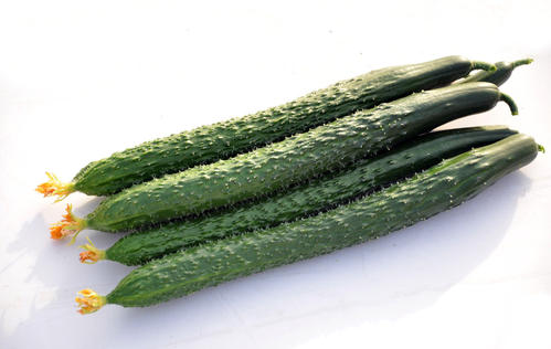 1574220728659418.jpg u=2999415734,3715326451&fm=26&gp=0.jpg