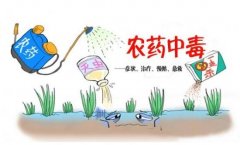 農藥殘留速測儀助力“有機農業”發展！