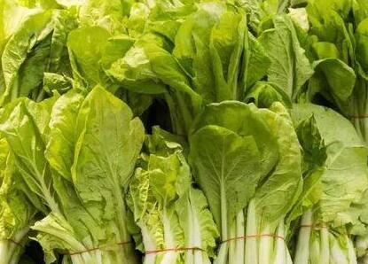 農殘快速檢測儀 農殘快速檢測儀