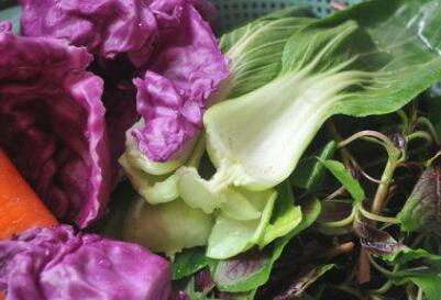 農(nóng)藥殘留速測儀 農(nóng)藥殘留速測儀